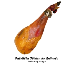 250_GUI2050001.JPG