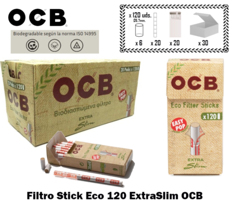 OCB2312001.JPG